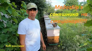 Медозбір з соняшника на стаціонарі!!!