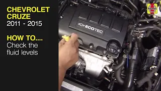 How to Check the fluid levels on the Chevrolet Cruze 2011 to 2015