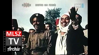 Egyiptom-Magyarország | 0-3 | 1954. 02. 12 | MLSZ TV Archív