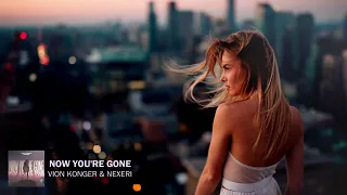 Vion Konger & Nexeri – Now You're Gone