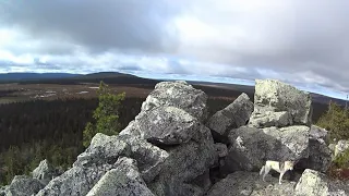 80 дней в тайге. Пушной промысел. Видеодневник. Часть 2