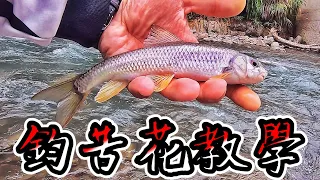 學會這幾招，制霸溪流！！！從來沒溪釣過，第一次就上手