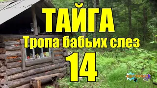 ОТШЕЛЬНИКИ | ЖИЗНЬ В ТАЙГЕ  14 из 16