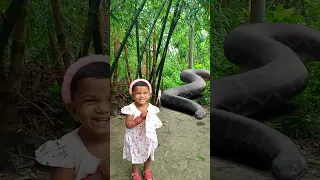 Anaconda Snake Chasing Boy video,,,P5 🐍 #Shorts