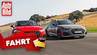 Audi RS 5 (2022) | Der neue RS 5 wird schneller und lauter | Erste Fahrt mit Alexander Bernt