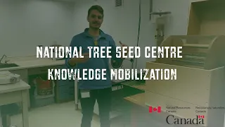 National Tree Seed Centre Webinar: Species at Risk