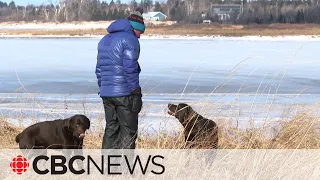 Dog comes to rescue after owner falls through ice