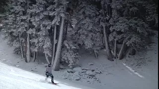 Fresh Snow In Time For President's Day