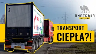 Naczepa do przewozu... ciepła😮