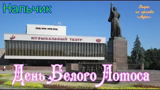 ДЕНЬ БЕЛОГО ЛОТОСА