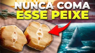 O Problema da CARNE DE CAÇÃO que NUNCA TE CONTARAM