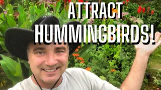 Best Plants To Attract Hummingbirds And Butterflies To Your Garden !