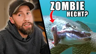 Zombie Hecht im See gefunden! - Verursacht durch Catch & Release Angler? | Robert Marc Lehmann