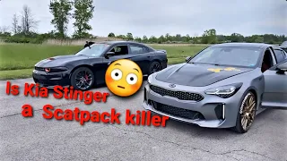 TwinTurbo Kia Stinger vs Scatpack 6.4L Who the killer ☠🐝