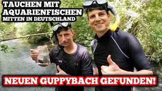 SENSATION! New SECRET GUPPYBACH discovered & documented!