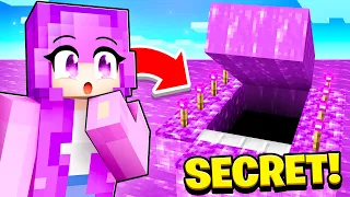 I Found Zoey's SECRET Minecraft House!