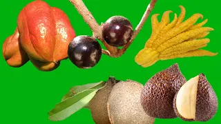 Most Bizarre Fruits