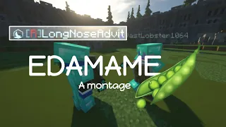 Edamame - A Minecraft Montage (bbno$ & Rich Brian)