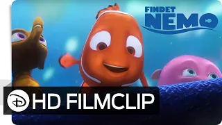 FINDET NEMO 3D - Filmclip: Mr. Ray | Disney•Pixar HD