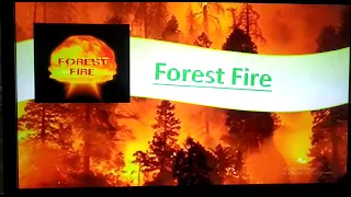 Causes of Forest Fires