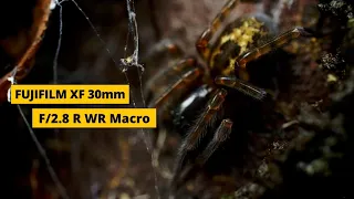 Fujifilm XF 30mm F2.8 Macro  | Full Review In 4 Minutes