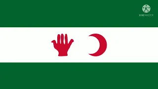 Historical Algeria Flags Animation