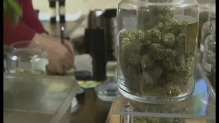 Sterling Heights undecided on having pot dispensaries