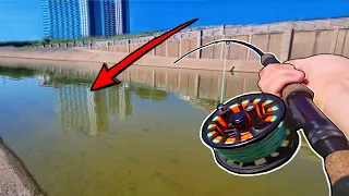 Houston's Most Dangerous Fishing Secret!