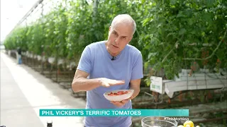 Phil Vickery's Terrific Tomatoes - 24/05/2023