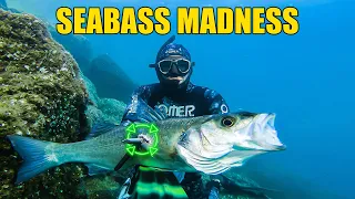 Spearfishing Croatia vs SEABASS Madness June 2022 4K 🇭🇷