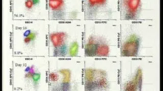 Trends in Multiparameter Flow Cytometry in Hematology - Dr. Brent Wood