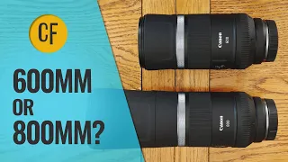 Canon RF 600 f/11 vs 800mm f/11: Which should you buy?