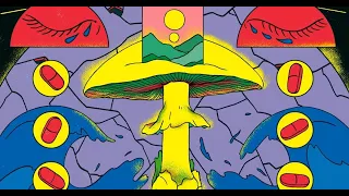 FULL TRIP (CRAZY LSD-THC-ECSTASY-JOINT VIDEO)