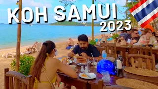 Best of Koh Samui Thailand Paradise Bophut 2023 4K Walk