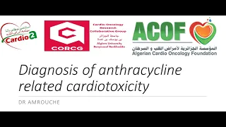 DIAGNOSIS OF ANTHRACYCLINE RELATED CARDIOTOXICITY  Dr Amel  AMROUCHE