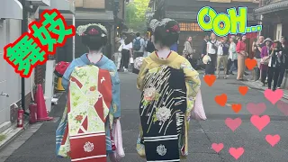 外国人観光客も始めて見る舞妓さんにビックリ👀❤️❤️❤️Maiko Kyoto Japan🇯🇵