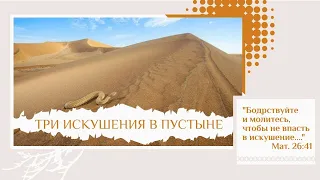 Проповедь: Три искушения в пустыне - 28.04.2020