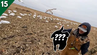Three New Species In One Hunt?! | Duck Hunting 2023 (Mixed Bag)