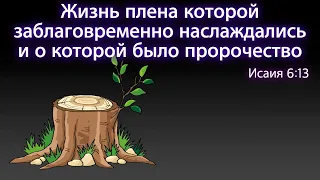 03-10-2021/детское служение/Исаия 6:13