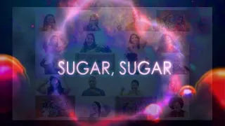 "SUGAR SUGAR" | A Magical Quantum Journey (5:55)