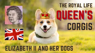 Uncovering the SECRET Life of Queen Elizabeth II's Royal Corgis!