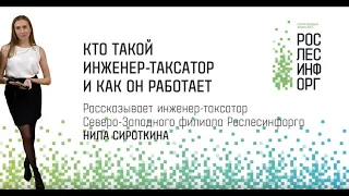 Кто такой инженер таксатор и как он работает  (видео: Рослесинфорг СЗФО)