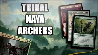 Archer Tribal Commander! (Trivial Tribal Episode 1)