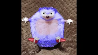 Sonic en la vida real captado en cámara Jajaja