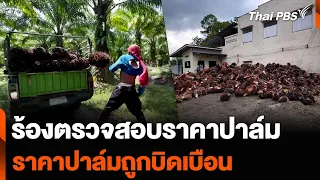 ร้องตรวจสอบราคาปาล์มถูกบิดเบือน หลังเหลือกิโลกรัมละ 4 บาท | ข่าวค่ำมิติใหม่ | 24 พ.ค. 67