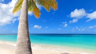 The Most Relaxing Beach Scenery Ever - with Ocean Sounds for Meditation, Studying & Sleep