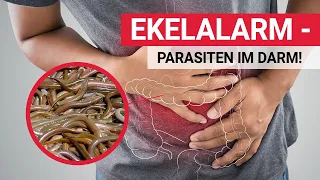 Ekelalarm - Parasiten im Darm!