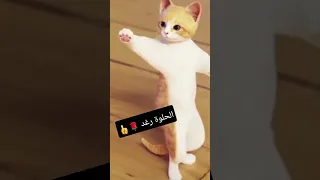 طلب خاص الحلوة #رغد 😍 #funny #ترند #wow #viral #طيور_الجنة #shorts