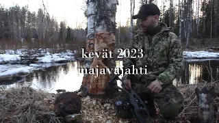 KEVÄÄN MAJAVAJAHTI 2023 || BEAVER HUNTING || H&R-Channel