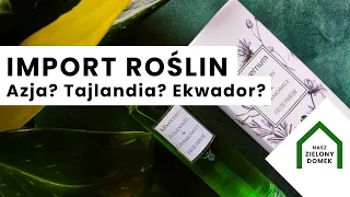 Import roślin z Ekwadoru, z Tajlandii Zakupy roślin kolekcjonerskich Polskie perfumy test Allvernum